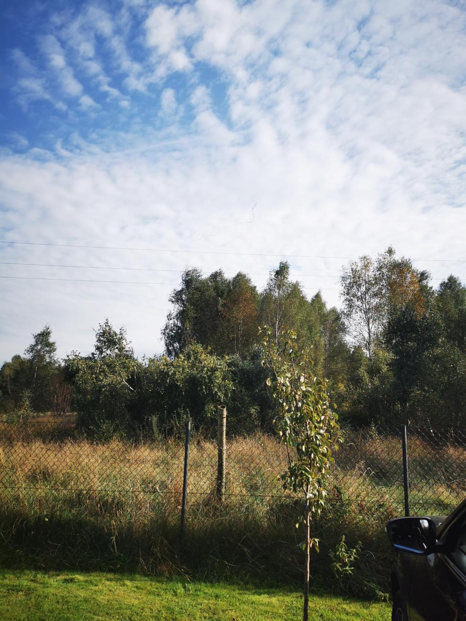 Stilove Wydmy Sasino Pokoj fotografie